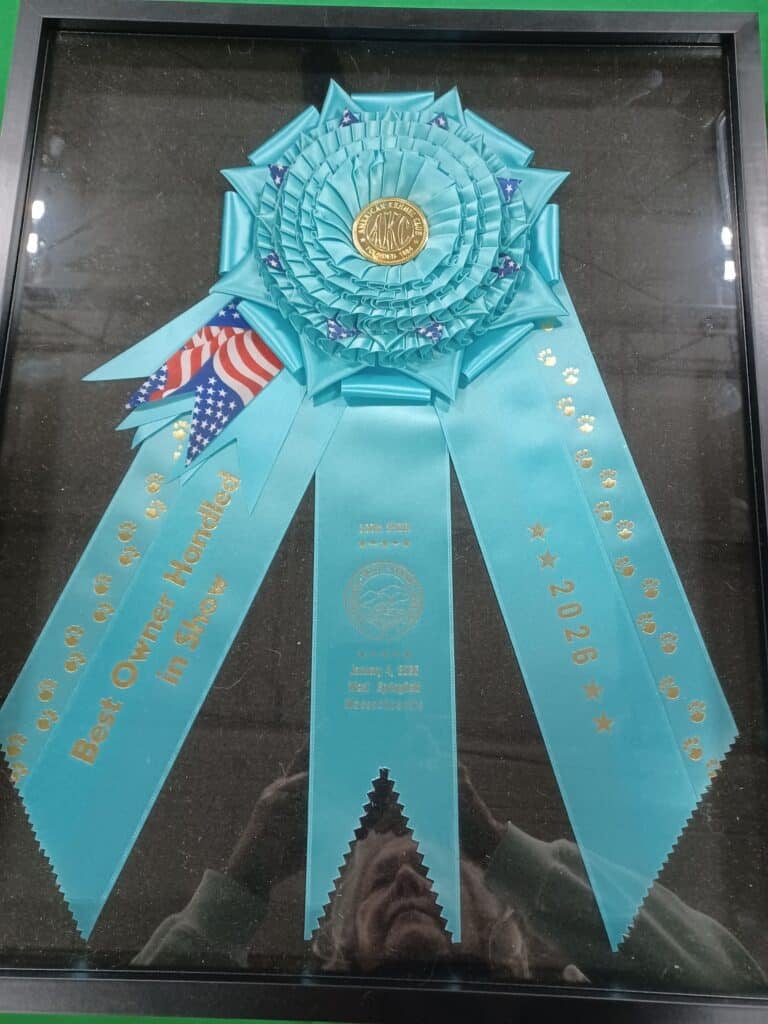 Merrimack Valley Kennel Club 2026 Show (9)