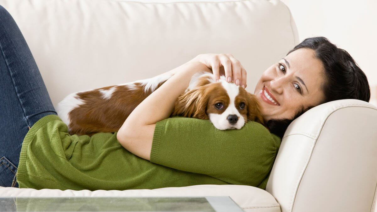 Woman laying on couch with puppy. Relaxed woman laying on sofa holding and petting pet dog