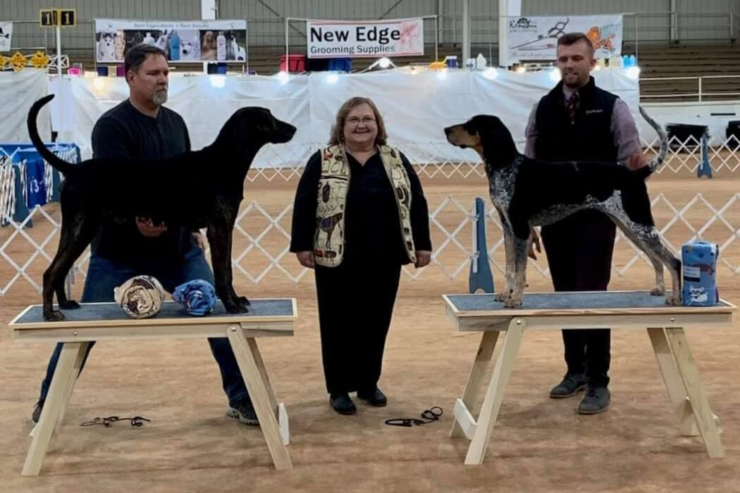 Ann Roth Judging at a dog show