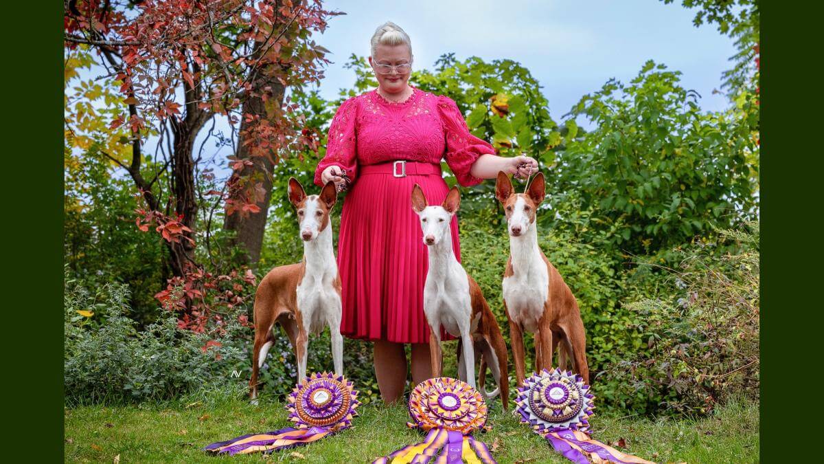 AKC Hound Group Honoree: Sarah Murphy – Abbaio Ibizan Hounds