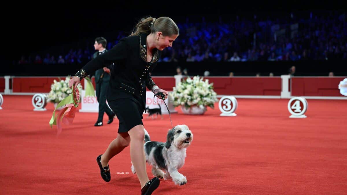 Tatum Bartlett: 2025 AKC National Championship Best Junior Handler