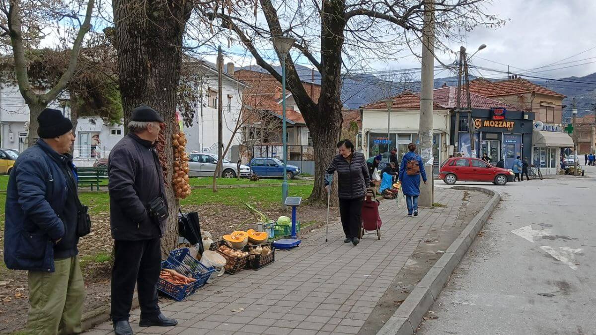 A Dog Show Travel Journal from the Balkans