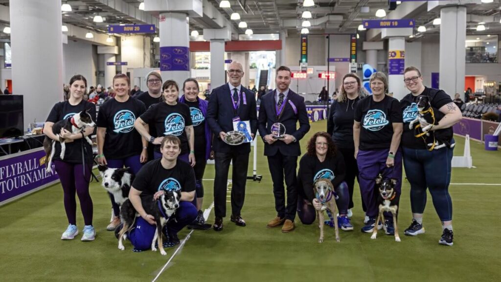 Westminster Flyball