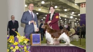 Heidi Rubin Cohen at the 2026 Westminster Kennel Club