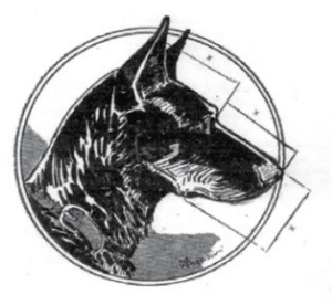 Ideal Beaucaron head by Mr. Siraudin