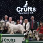 2026 Crufts winners
