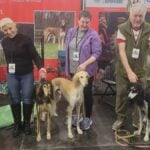 AKC provides the infrastructure, but it is the owners and the dogs themselves that provide the magic. These Salukis (and their humans) did a great job!