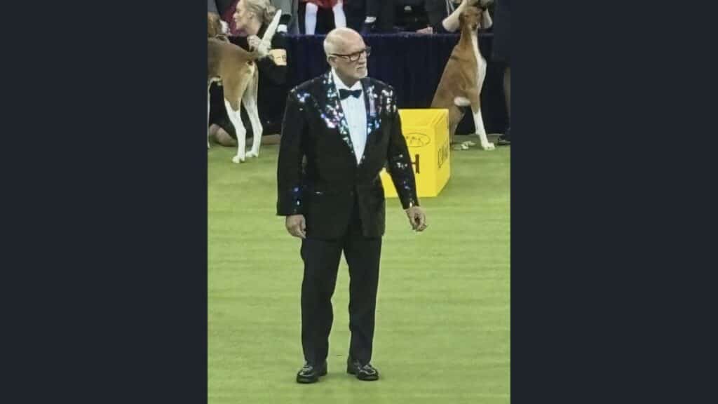 Michael Canalizo at the 2026 Westminster Kennel Club Dog Show