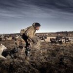 photo by Carol Hjort