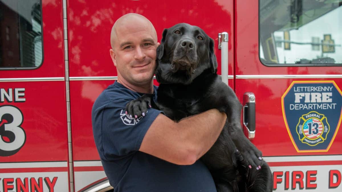 Service Dog: Bea – Handler: Buddy Niner