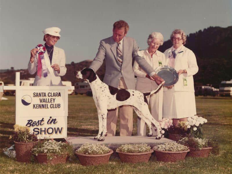 Ch Cumbrian Black Pearl with Corky Vroom