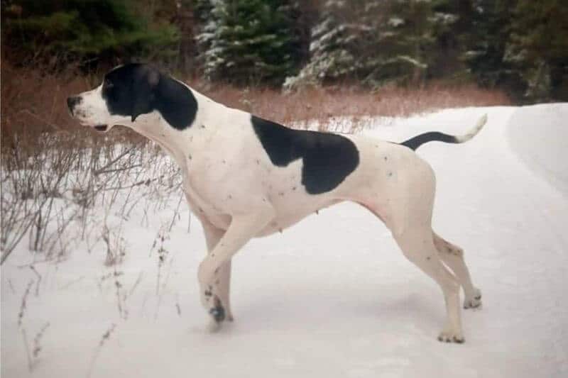 Cumbrian Winter Sonnet JH