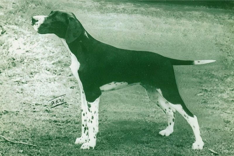 Cumbrian Knight Commander in England