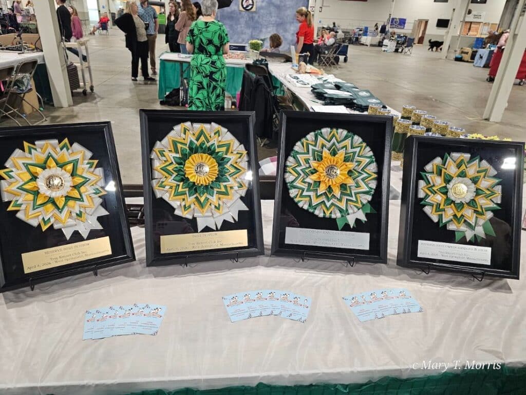 The 2026 Spring Fling Cluster