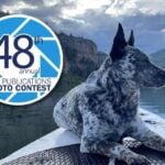 2026 AKC Photo Contest