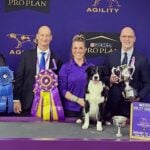 2026 Westminster Masters Agility Championship: Amber McCune & Prove-It