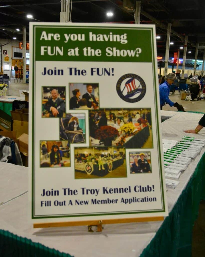 The 2026 Spring Fling Cluster