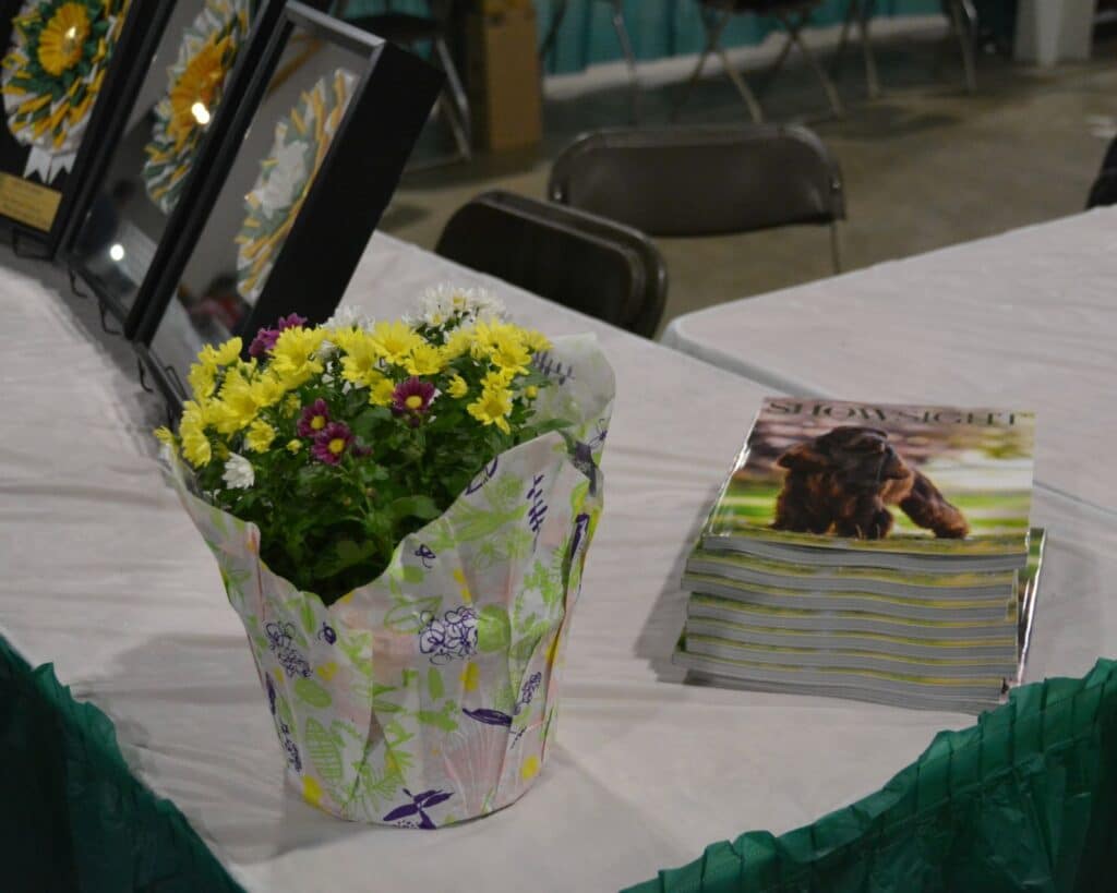 The 2026 Spring Fling Cluster