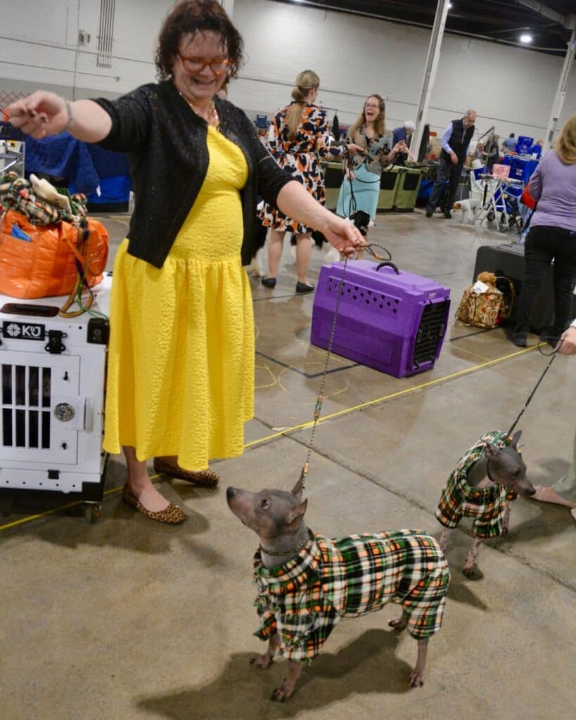 The 2026 Spring Fling Cluster