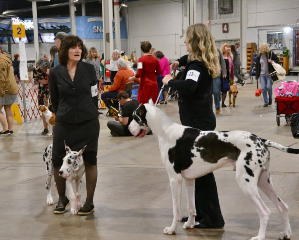 The 2026 Spring Fling Cluster