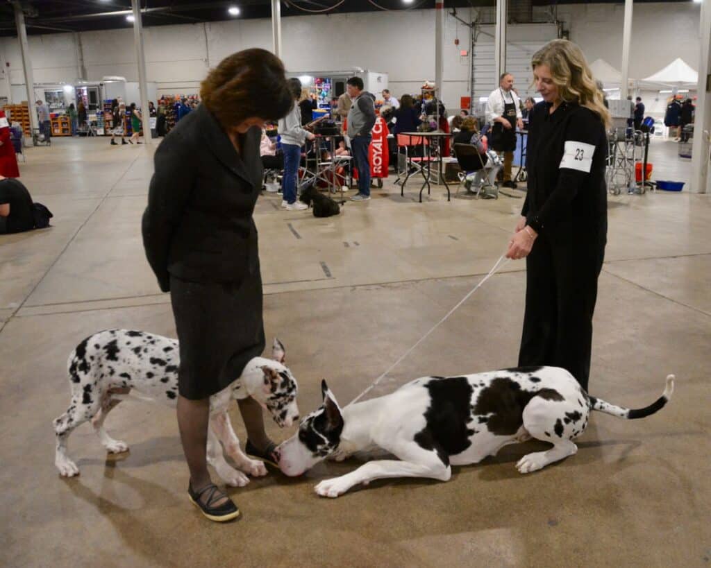 The 2026 Spring Fling Cluster