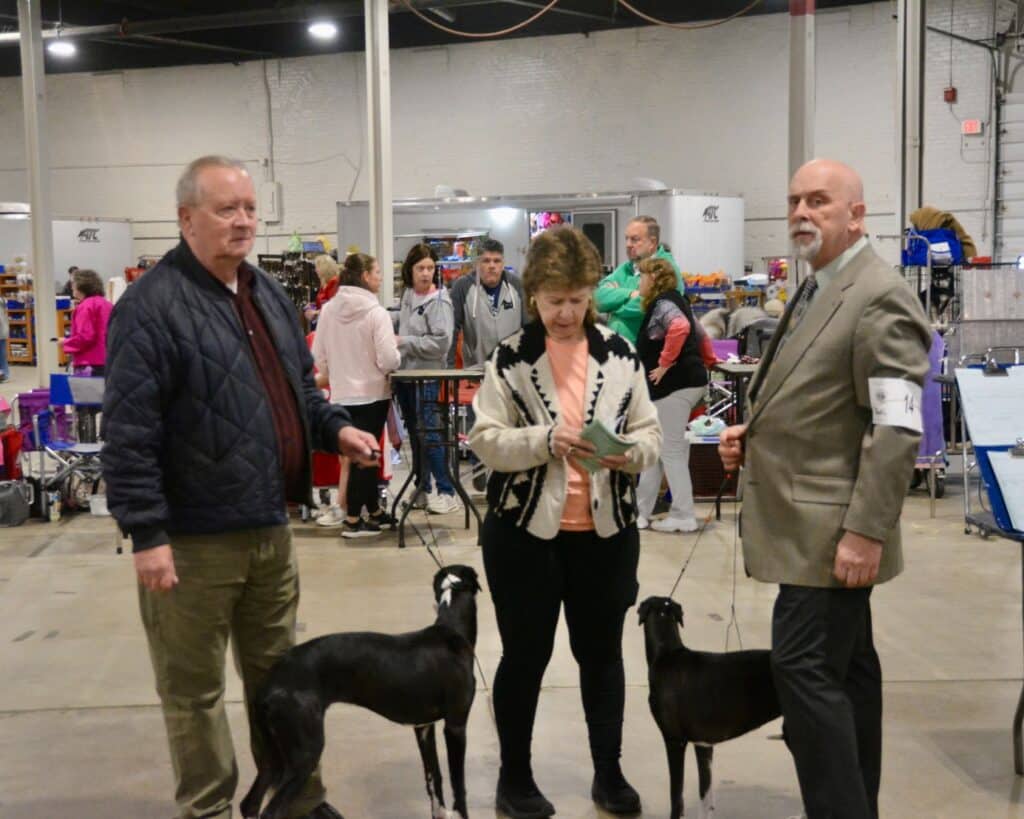 The 2026 Spring Fling Cluster