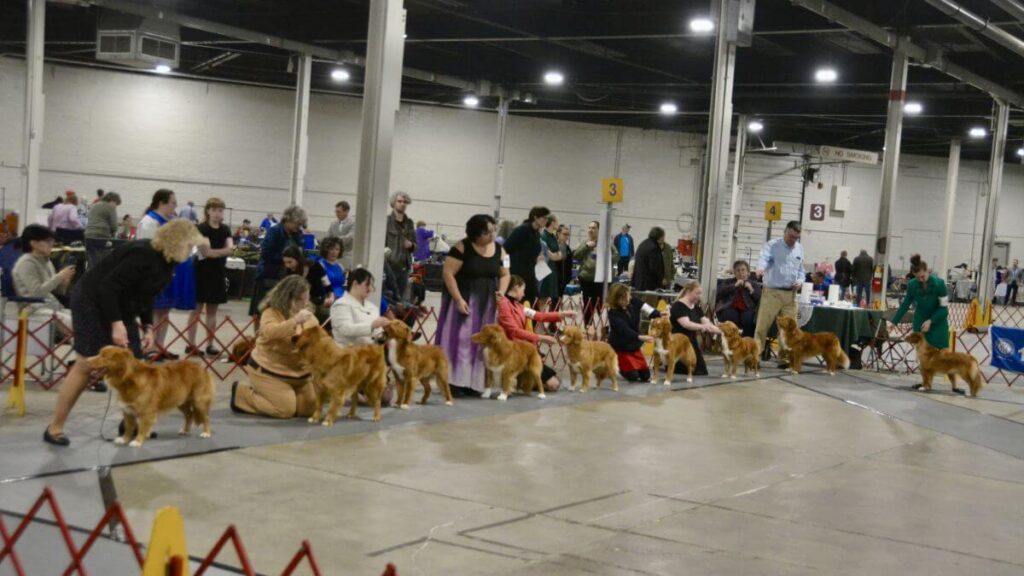 The 2026 Spring Fling Cluster