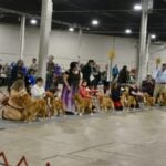 The 2026 Spring Fling Cluster