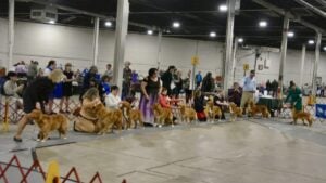 The 2026 Spring Fling Cluster