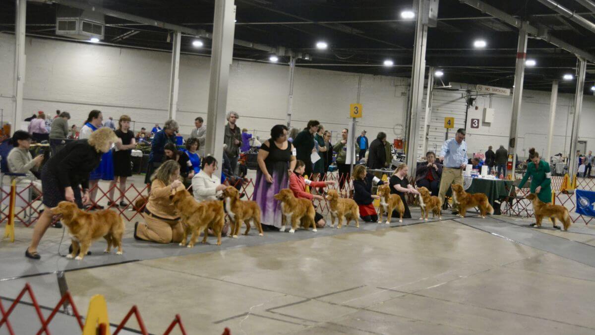 The 2026 Spring Fling Cluster