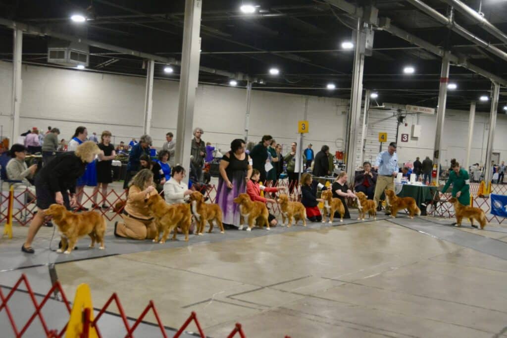 The 2026 Spring Fling Cluster