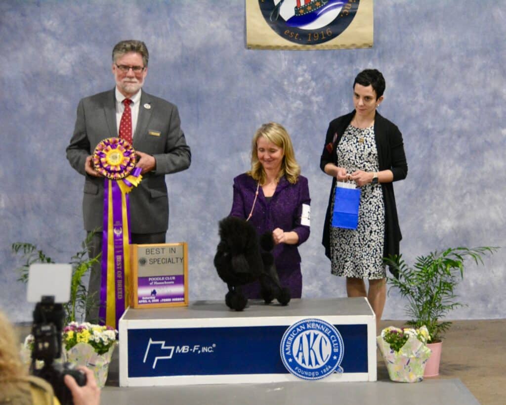 The 2026 Spring Fling Cluster