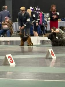 Walla Walla Kennel Club 2026 Dog Show | Pasco, Washington