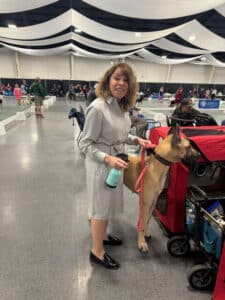 Walla Walla Kennel Club 2026 Dog Show | Pasco, Washington