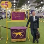 Joseph Reno at the 2026 Westminster Kennel Club Dog Show
