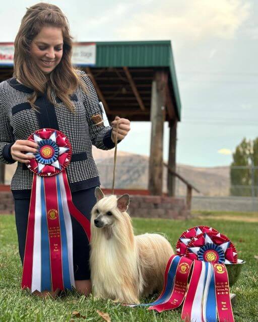 Professional Handler Sammie Lewis at a dog show