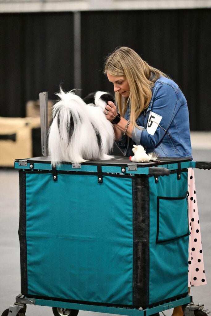 Walla Walla Kennel Club 2026 Dog Show | Pasco, Washington