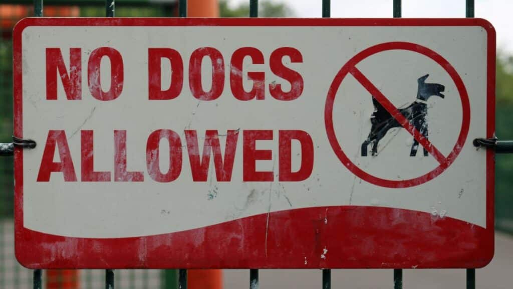 No dogs allowed sign with red letters on a white background smeared where graffiti has been removed and attached to a black metal fence in a park with orange games equipment in the background.
