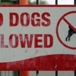 No dogs allowed sign with red letters on a white background smeared where graffiti has been removed and attached to a black metal fence in a park with orange games equipment in the background.