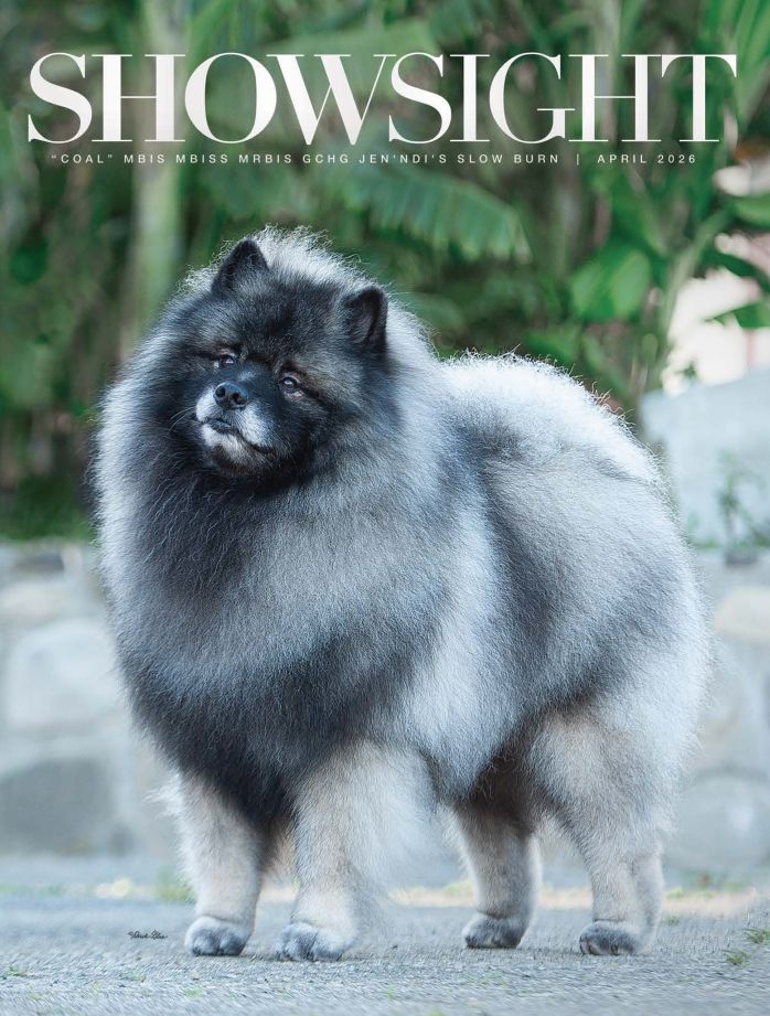 Showsight Magazine April 2026 Front Cover