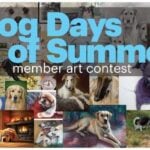 AKC MoD Dog Days of Summer Art Contest