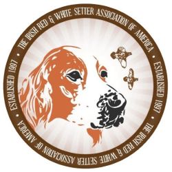 Picture of The Irish Red & White Setter Association of America