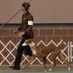 Junior Handler at a dog show
