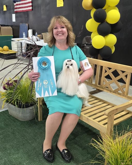 Melissa Robison sitting on a bench with a white Maltese dog.