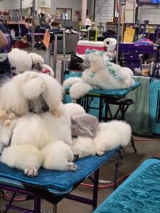 20260703_103033_resized