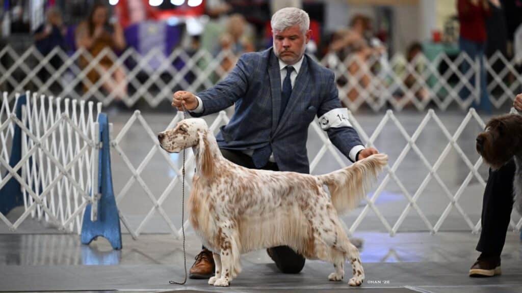 Christopher Keith at a dog show