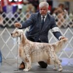 Christopher Keith at a dog show