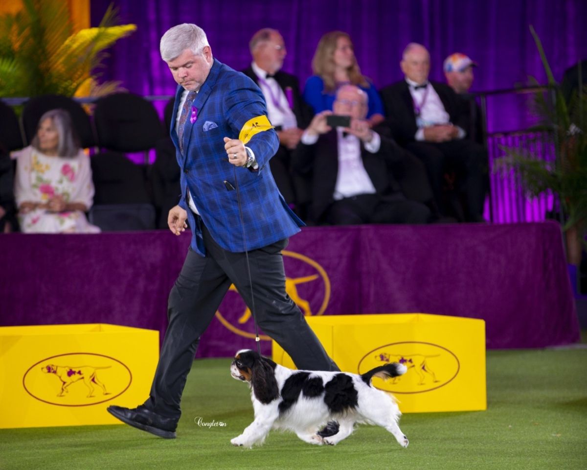 Christopher Keith at the Westminster Kennel Club Dog Show