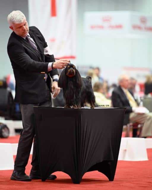 Christopher Keith at a dog show