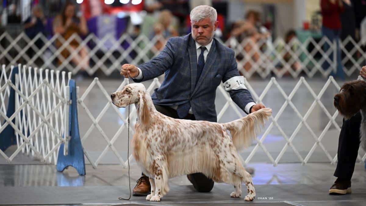 Christopher Keith at a dog show